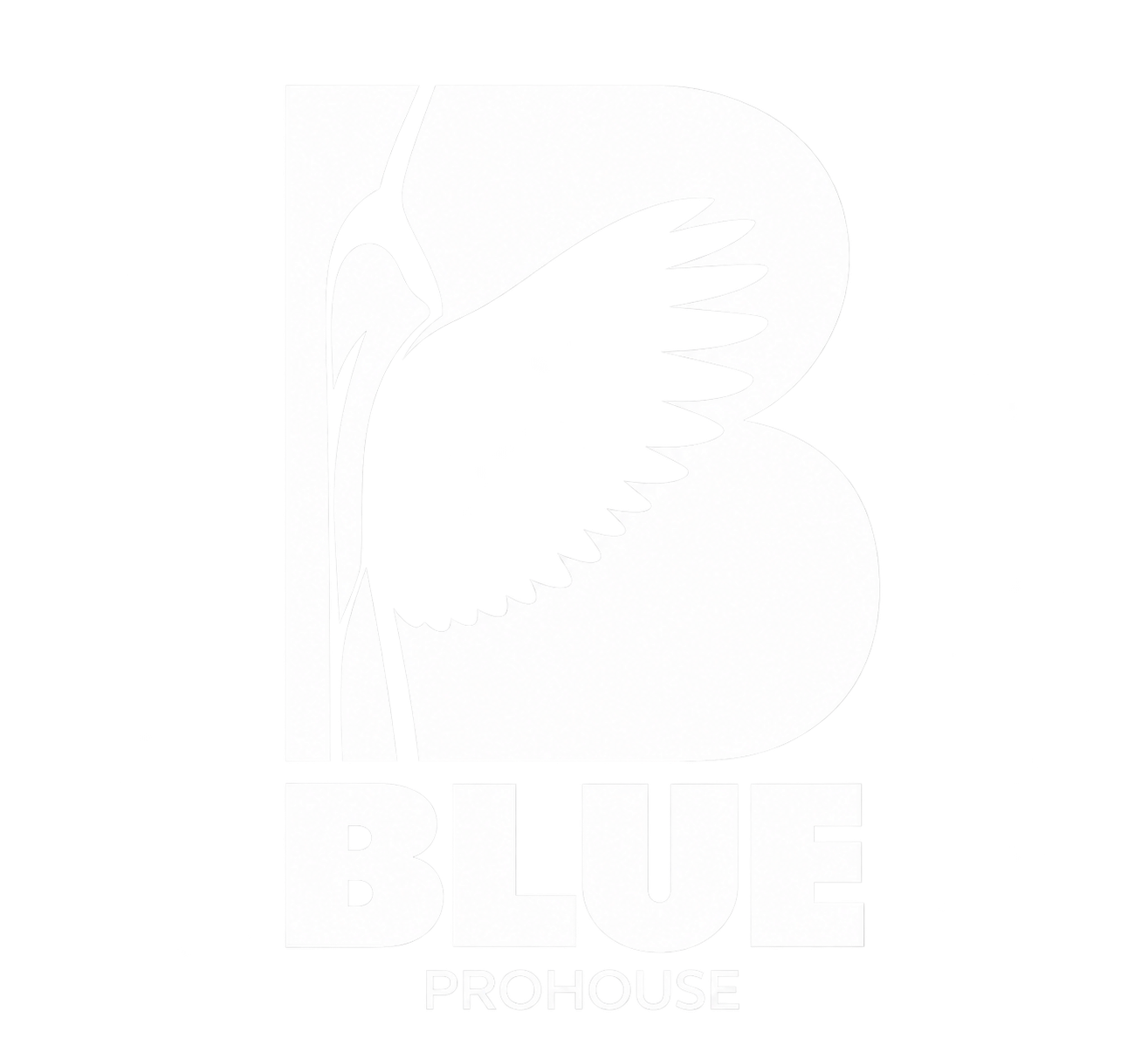 Blue Prohouse