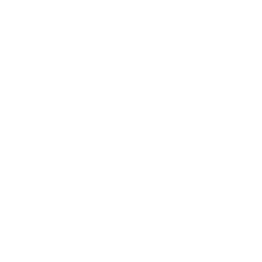 Customer Experience